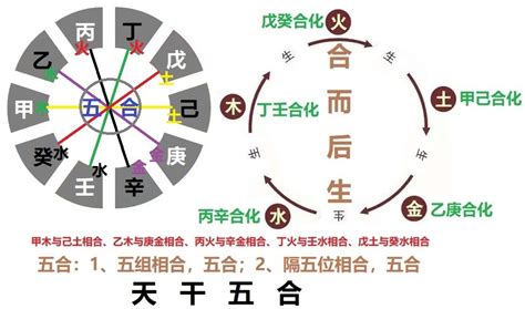 辛乙相克|八字天干相冲详解